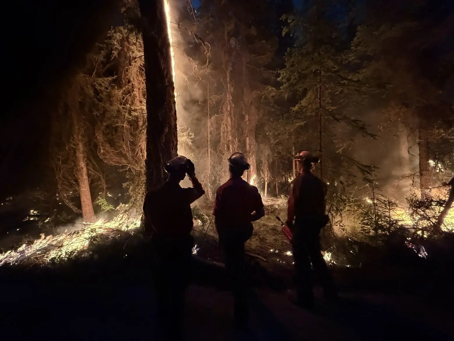 Wildland firefighters observing fire behaviour during night operations