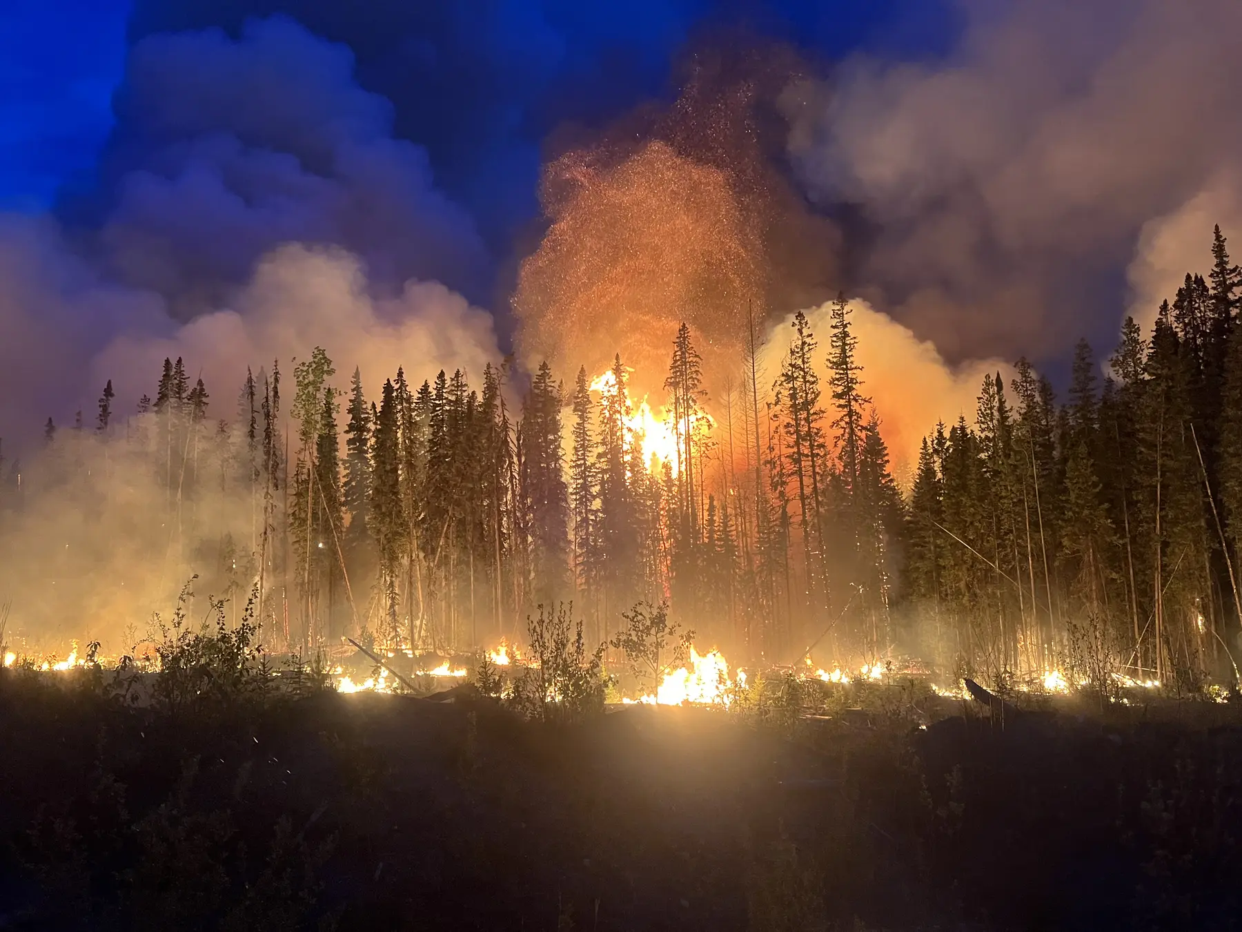 Active wildfire burning through a forest at night